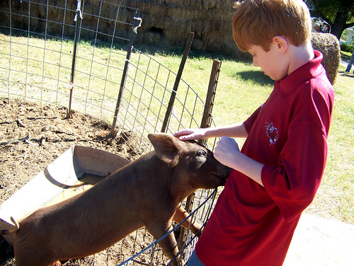 101016 Pumpkin Patches 31 - Spencer with pig