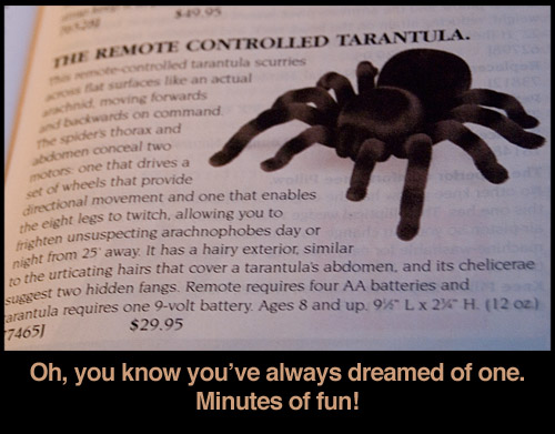 remote-tarantula