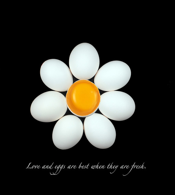 Love and Eggs