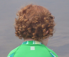 back of Speck's head, with pipe curls!