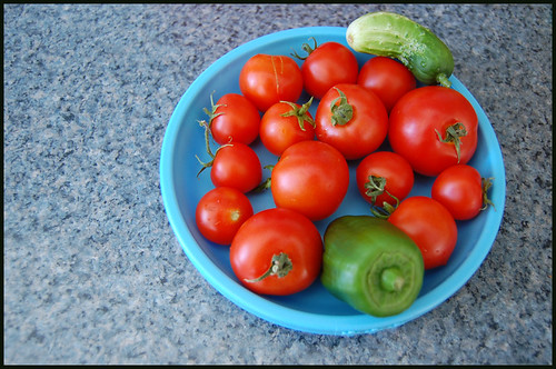 tomatoes, cuke, and pepper