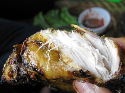 Ayam Bakar (grilled chicken)