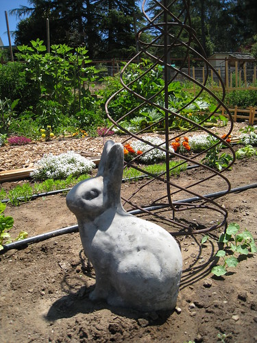 Aptos Community Garden - 6/28/2010