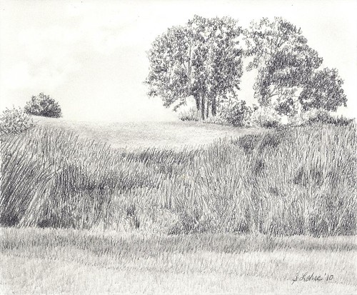 Wetland Landscape, graphite