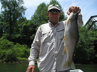 Rainbow trout caught on G Loomis GLX