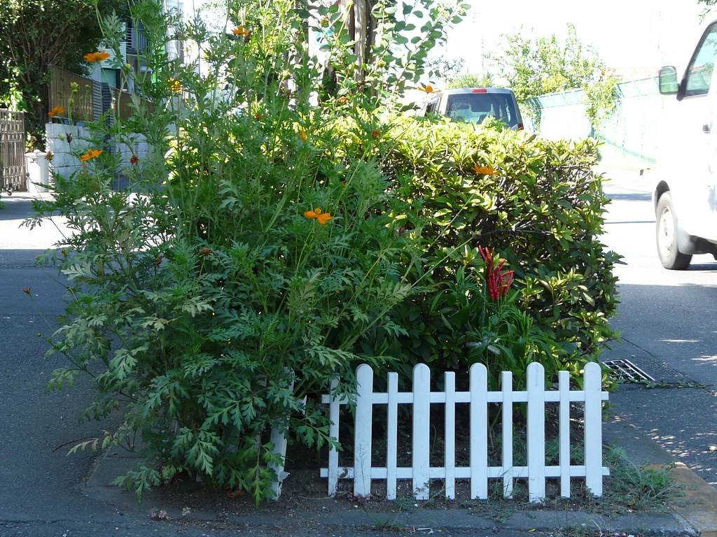 Curbside Chili Garden