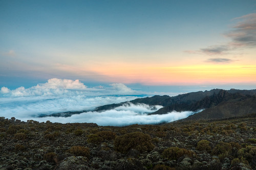 Kilimanjaro 031