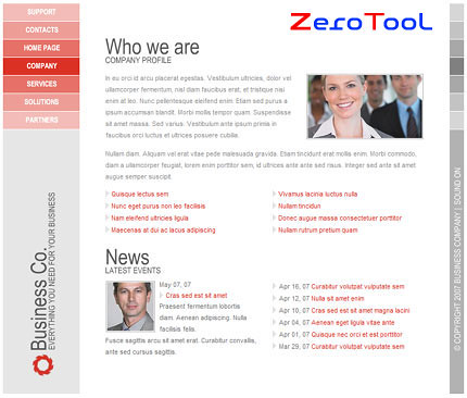 FlashMint 2000 Simple red business flash template