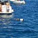 Isola del Giglio - cane in acqua a Punta Capel Rosso