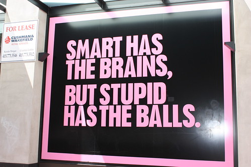 Stupid is also the one approving the marketing campaign. 