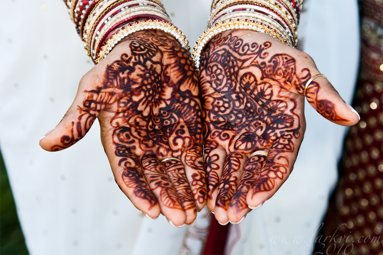 Decorated Hands, Patel-Vieth Wedding, July 2010
