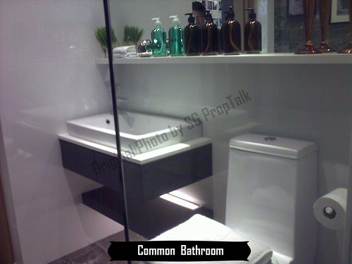 Common Bathroom