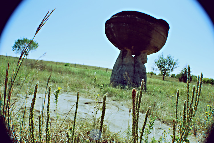mushroom rock 
