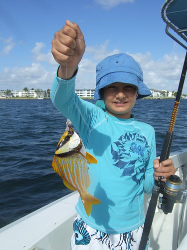 Christopher catches a porkfish