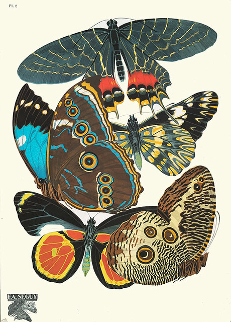 007-Papillons vingt planches en phototypie coloriees..1928- Eugene Alain Seguy