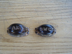 Finished cowry shell