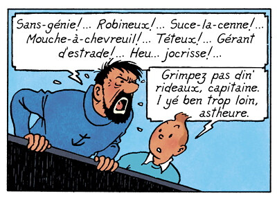 Tintin & Haddock