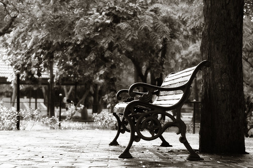 Imagen en blanco y negro de un banco en un parque