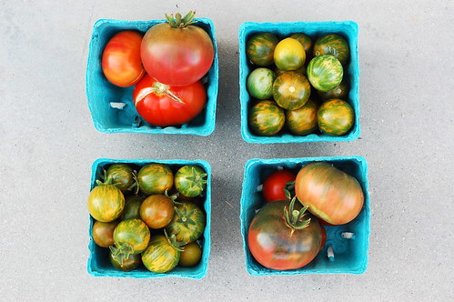 a nice tomato harvest