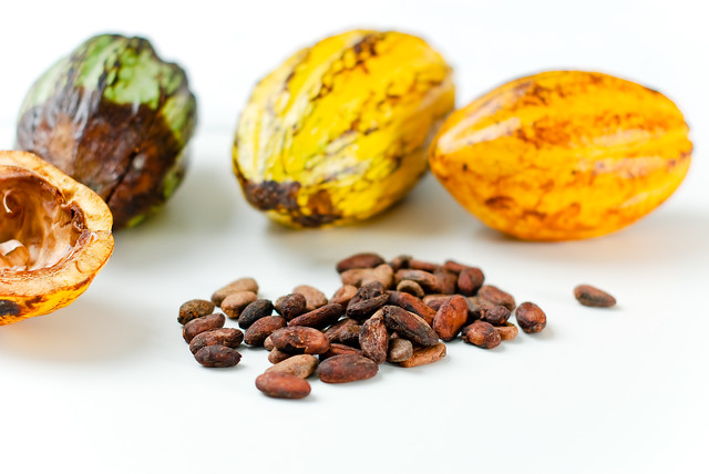Fresh Cacao from São Tomé & Príncipe