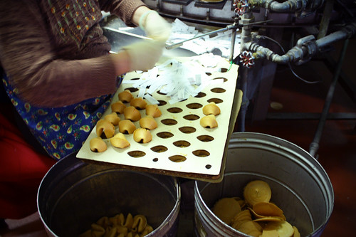 fortunecookies