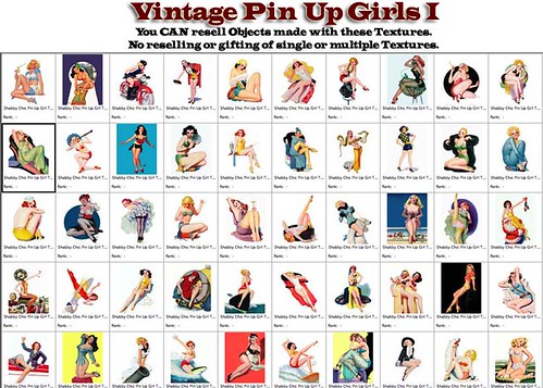Shabby Chic Vintage Pin Up Girls I 