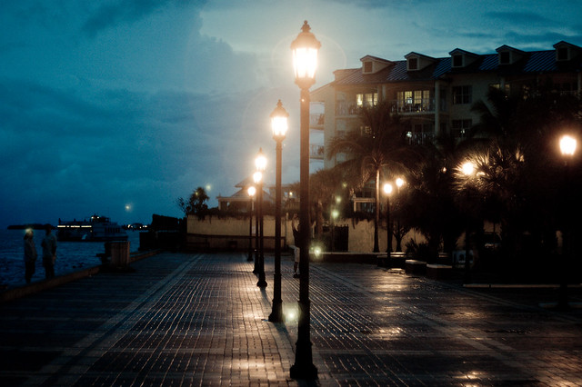 "I have walked out in rain - and back in rain. I have out walked the furthest city light. "