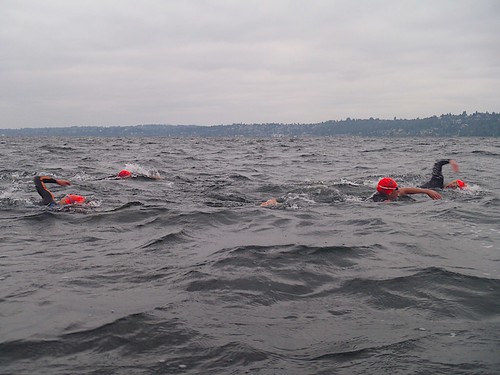 Swimming across Lake Washington