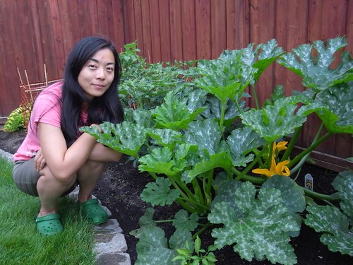 With the huge zucchini plant