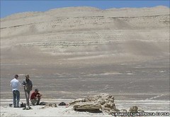 Fierce sea monster fossil found in Peru