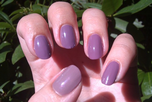 purple-grey comps 2