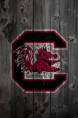 gamecocks logo. South Carolina Gamecocks Logo