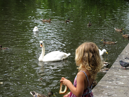 Little Girl Feeding Ducks and Swans - Dublin