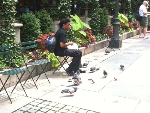 Guy feeding birds, Bryant Park