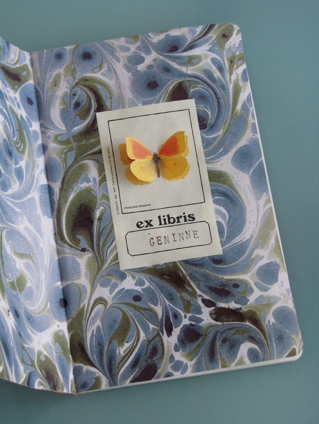 Marbleized end papers