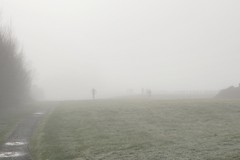 Fog at Silverstream