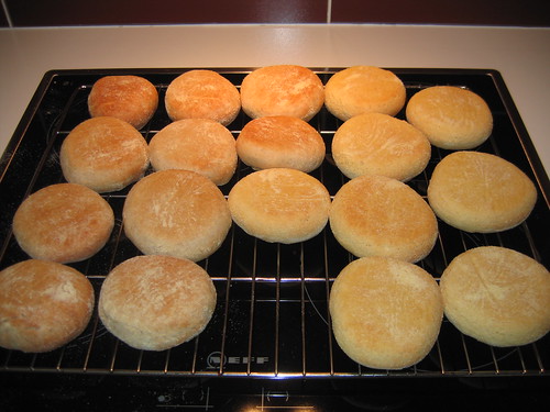 muffin variés