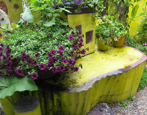 Purple/yellow garden near the studio, Keela Meadow's Garden