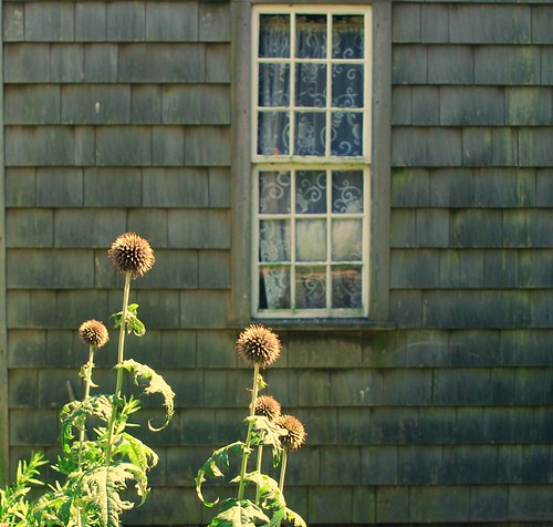 Watsons Farm window