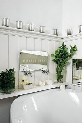 bath room with plants