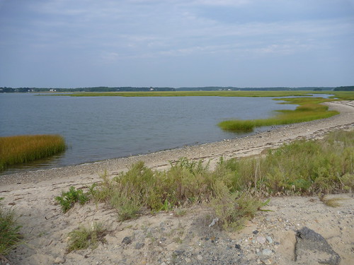 Mouth of the Back River