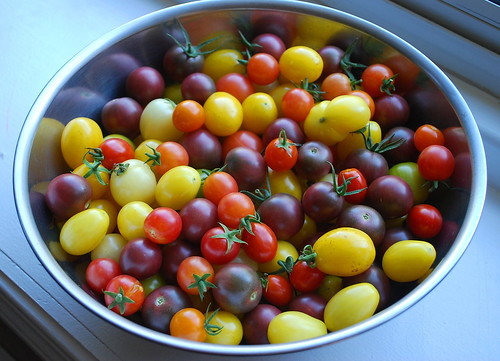 End of August Harvest 5