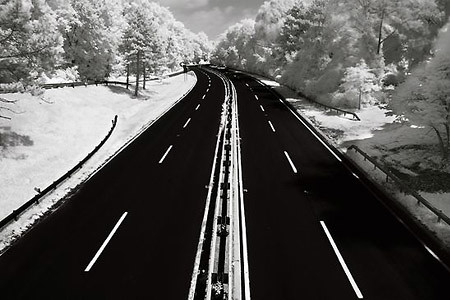 07_infrared_photography_6