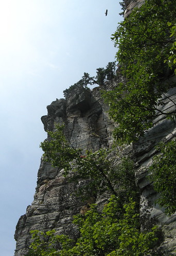 Pinnacle cliffs