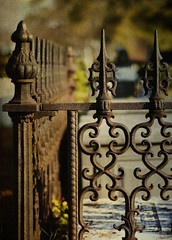 Springwood Iron Fence Painterly Texture