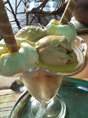 Caramel icecream in Sturovo