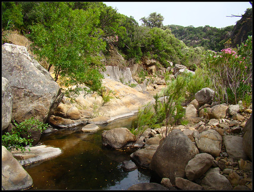 Arroyo de la Garganta del Espino (4)