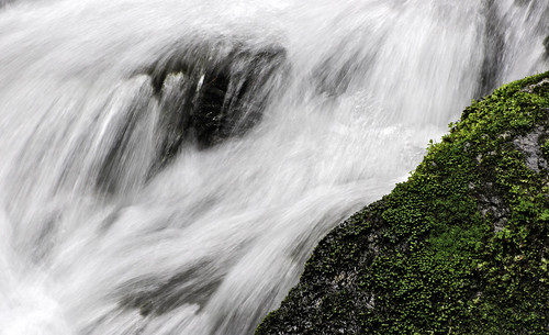 White waters passing near mossy rock
