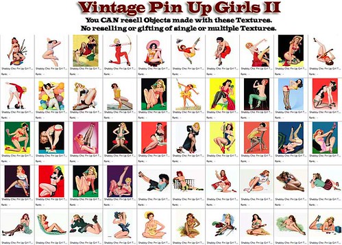 Shabby Chic Vintage Pin Up Girls II
