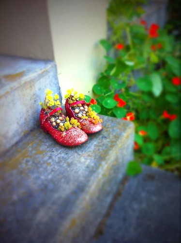 shoes on my front steps